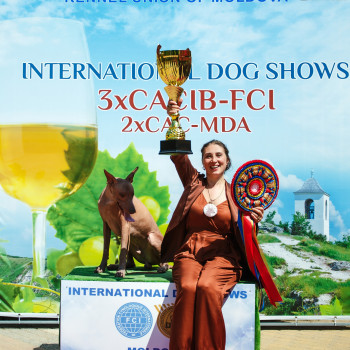 Moonflower Dogs Amon, 11-13.07.2025, Мoldova, Relax Dog Show