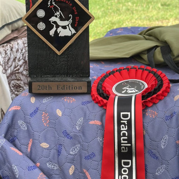 Moonflower Dogs Amon, Румунія, Dracula Dog Show, 3xCACIB, 12-14/09/2025