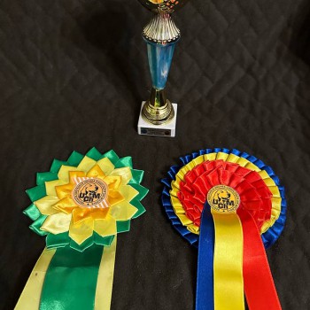 Дарій -28-30 квітень 2023 International Dog Shows 3xCACIB-FCI & 2xCAC-MDA Молдова