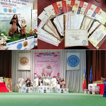 Хатшепсут - 2023 International Dog Shows 3xCACIB-FCI & 2xCAC-MDA Moldova